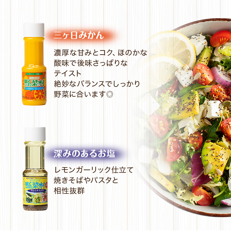 ドレッシング 5種 Aセット 1977年創業 野菜村 各300ml 5本 野菜村ドレッシング セット 詰め合わせ 和風 胡麻ドレッシング みかんドレッシング 調味料 調味料セット サラダ ギフト 贈り