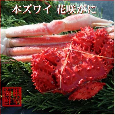 ふるさと納税 根室市 本ズワイガニ足1肩、花咲ガニ1尾 A-57040