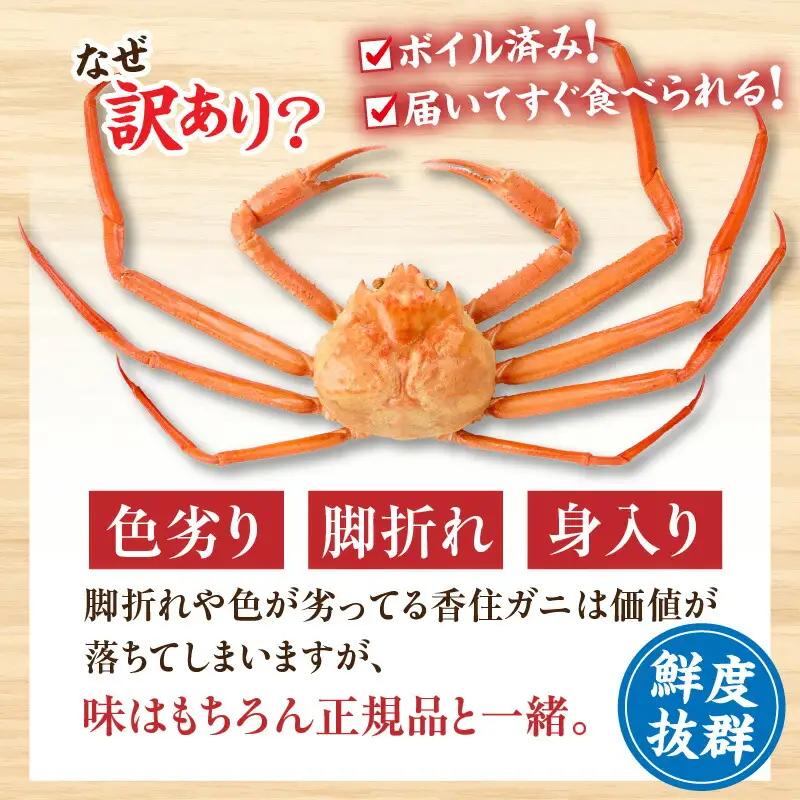 【訳あり】 香住ガニ 約600g×3匹（約1.8kg以上）【令和8年9月中旬以降発送予定】かに カニ 07-14