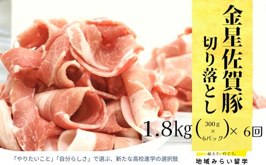 
                  【定期便】豚肉定期便(連続6回/豚肉切り落とし)
                
