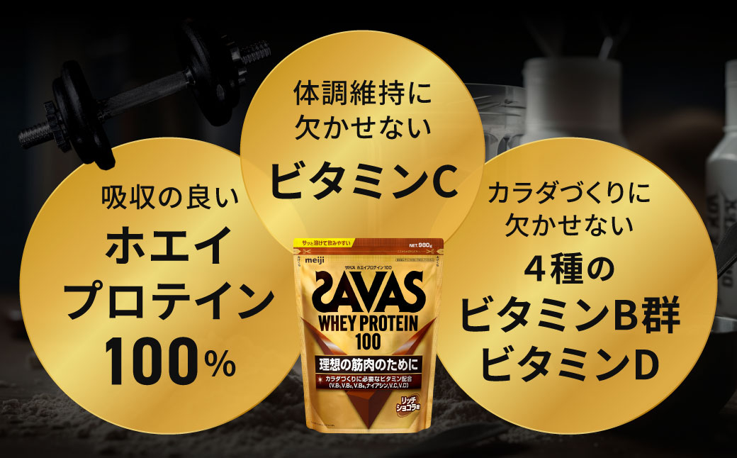 ザバスホエイプロテイン100お試しセットH