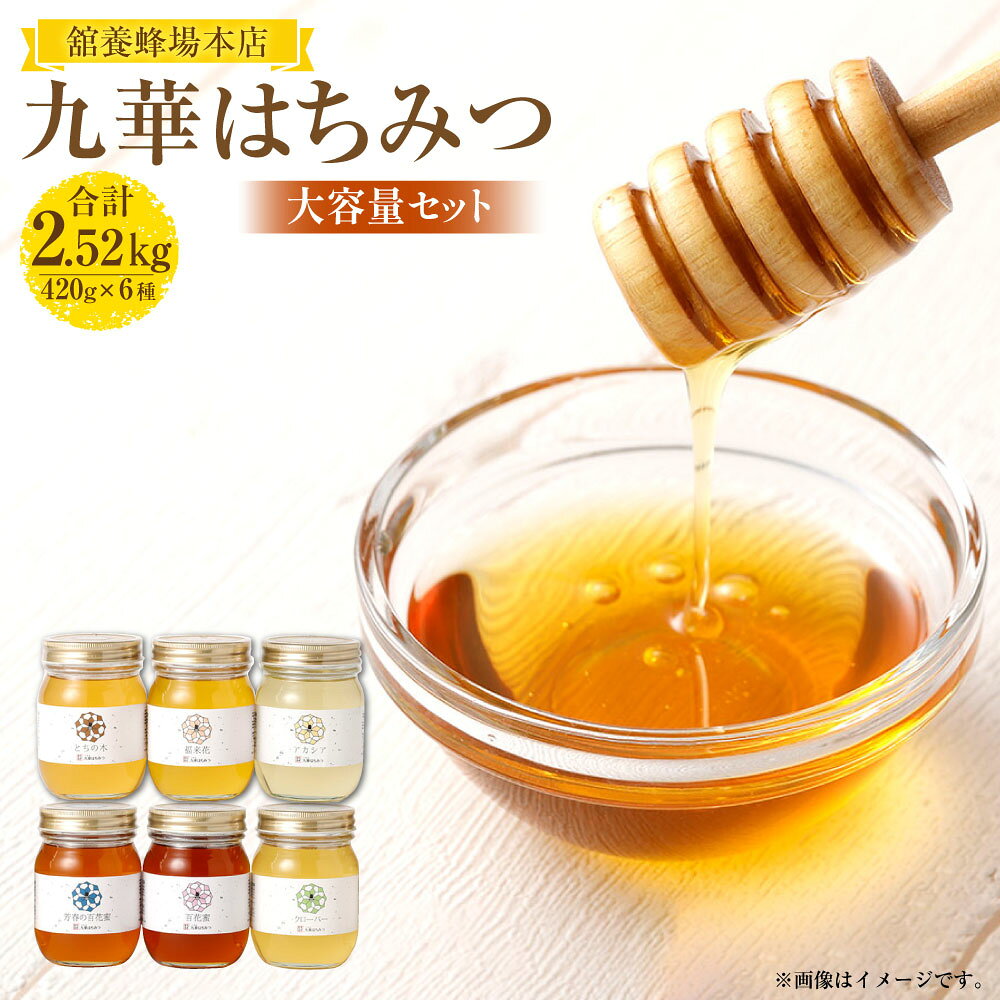 【ふるさと納税】 舘養蜂場本店　九華はちみつ大容量セット420g×6本