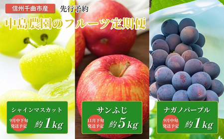 【2026年先行予約】フルーツ王国 信州 千曲 中島農園のフルーツ定期便（ナガノパープル、シャインマスカット、サンふじ）｜フルーツ