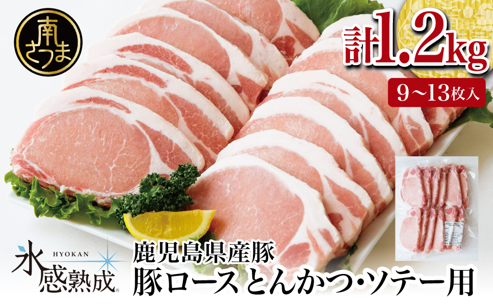 【氷感熟成豚】★数量限定★ 鹿児島県産 豚ロース とんかつ・ソテー用 計1.2kg 冷凍 スターゼン 南さつま市 肉 お肉 焼肉 炒め物 とんかつ ステーキ ソテー 照焼き  おかず 惣菜 お弁当 豚肉 かごしま スライス グルメ 冷凍 スターゼン 南さつま市