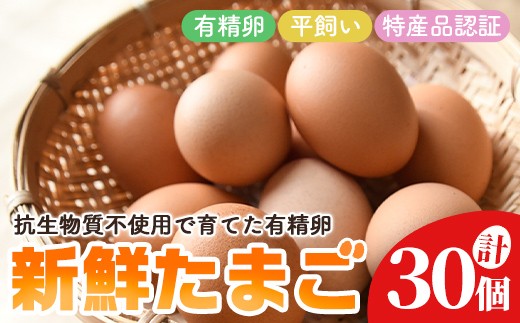 石黒たまご園の平飼い有精卵 30個入り たまご タマゴ 鶏卵 玉子 卵 常温 茨城県 普段使い用 パック包装 平飼い 30個 【石黒たまご園】【ho1622】