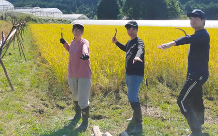 【年内発送】新米 選べる白米or玄米 つばくろ米 5kg 白川町 / 黒川つばくろ農園[AWCB001]