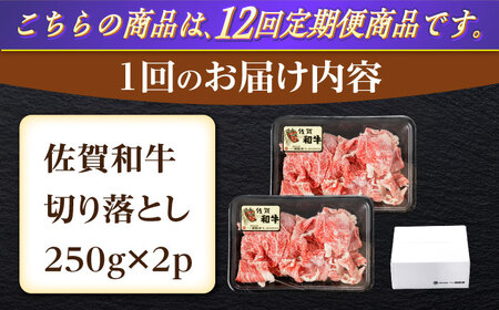 【12回定期便】佐賀和牛 切り落とし 計500g(250g×2p)【一ノ瀬畜産】 [NAC164] 牛肉 佐賀県産 黒毛和牛 ブランド牛 牛肉