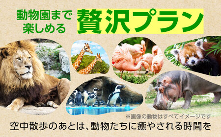 体験チケット とべもりジップライン往復体験チケット 体験 観光 BJCL001