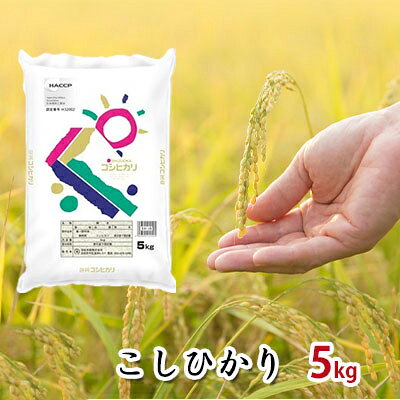 【ふるさと納税】【令和7年度産】静岡県産米『こしひかり』精米5kg お米 コシヒカリ 米 こめ 静岡 浜松