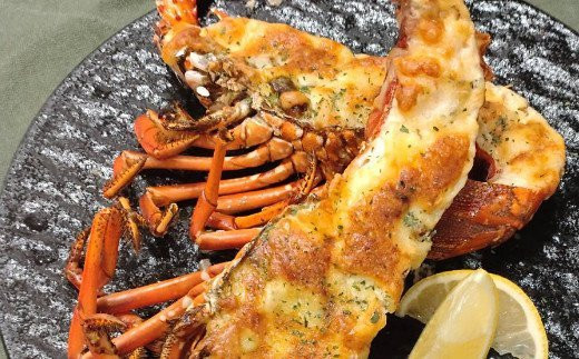 活き伊勢海老 1㎏以上 伊勢エビ 伊勢海老 えび 産地直送 送料無料 エビフライ 刺身 高知県 室戸市