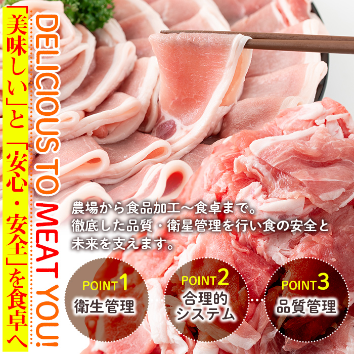 isa451 ＜訳あり＞鹿児島県産豚切り落とし (計4kg・500g×8P) 国産 豚肉 真空包装 真空パック 小分け 切落とし ぶたにく 豚 肉 冷凍 【コワダヤ】