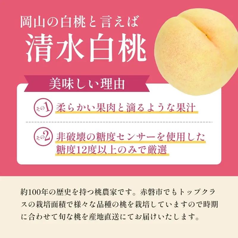 桃 先行予約 清水 白桃 をお届け 3玉約900g 糖度12度以上 もも モモ 岡山県 赤磐市産 フルーツ 果物 桃
