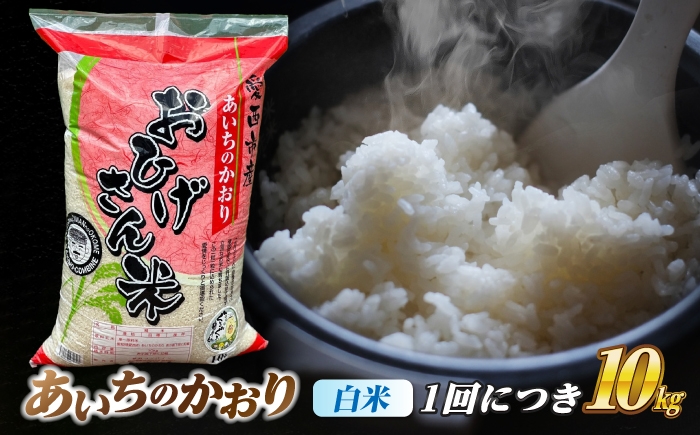 米 お米 10kg 10キロ 定期便 白米 精米 愛知県 あいちのかおり