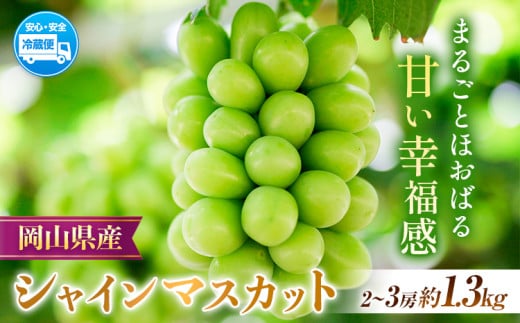 【2026年先行予約】岡山県産 シャインマスカット  約1.3kg ( 2-3房 )  クール便 晴れの国 おかやま館(フルーツランド岡山) 《2026年8月下旬-9月下旬頃出荷》岡山県 浅口市【配送不可地域あり】（離島） st-p