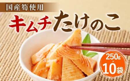 B24 キムチ たけのこ（国産筍使用）250g×10袋 筍 竹の子