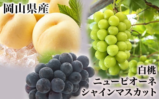 詰合せ 白桃2玉(1玉220g以上)・ニューピオーネ1房(480g以上)・シャインマスカット「晴王」１房(480g以上) 化粧箱入り