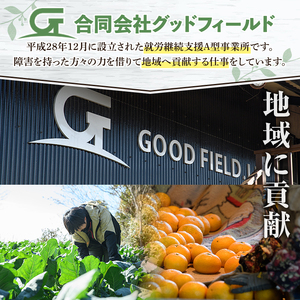 数量限定！冷凍小松菜(計3kg・250g/袋) 野菜 冷凍 冷凍野菜 カット 簡単 手軽 小分け おひたし 胡麻和え 【合同会社グッドフィールド】a-10-61-z