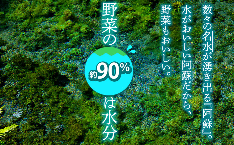 【定期便 全6回】<畑から直送>季節のお野菜セット Mサイズ 6回定期便 野菜 4〜6品 定期便 全6回 詰め合わせ 新鮮 減農薬 高原 旬 産地直送 採れたて 甘い 美味しい 人気 安心 安全 熊本