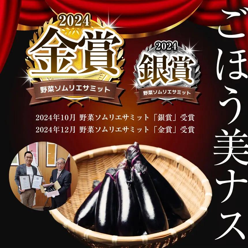 【定期便6回】農家さん応援！訳ありごほう美ナス 約3kg