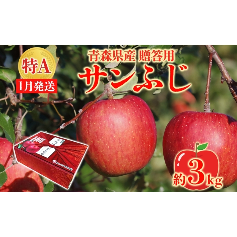 サンふじ 約3kg 贈答用 特A 特選 1月発送 化粧箱入 りんご 林檎 リンゴ 果物 フルーツ くだもの 旬 青森県産 お取り寄せ 贈り物 プレゼント 人気 東北 名産 産地直送 常温 青森県 西目屋村 