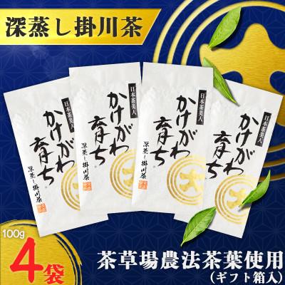 ふるさと納税 掛川市 深蒸し掛川茶「かけがわ育ちW」100g×4袋セット