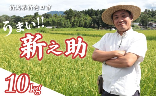 【最短1週間発送!】 令和8年産 新之助 10kg 5kg×2袋 お米 こめ ご飯 ごはん おいしい 新潟 新潟県 米 5kg 10kg 新発田産 新潟産 朝食 昼食 夕飯 炊きたて 精米 ブランド watasho008_2026