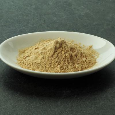 ふるさと納税 飯田市 信州飯田産　はなびらたけパウダー　30g |  | 01