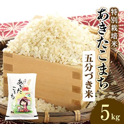 ふるさと納税 大潟村 令和7年産　特別栽培米あきたこまち　五分づき米5kg