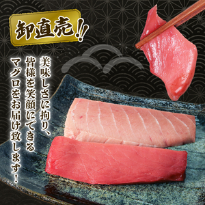 まぐろ 赤身 中とろ 2種 250g 以上 まぐろまぐろまぐろまぐろまぐろ