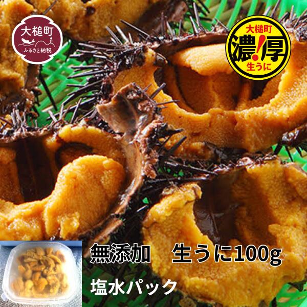 【ふるさと納税】【令和8年6月発送】三陸産 濃厚 生うに 100g×1～10パック【配送日指定不可】 ｜ 雲丹 うに ウニ 大槌町 岩手県 ｜