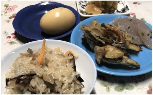 【農家民泊】〜かぐや姫の里〜山菜おこわ作り体験付きペア宿泊券