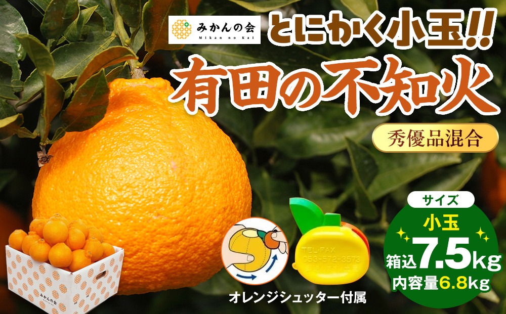 不知火 とにかく 小玉 箱込 7.5kg(内容量約 6.8kg) 秀優品混合 和歌山県産 産地直送［みかんの会］ 	AX245