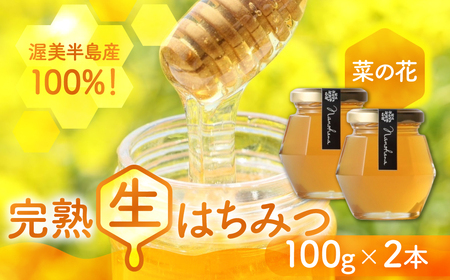 純粋菜の花はちみつ100g 2本 蜂蜜 ハチミツ 蜂蜜