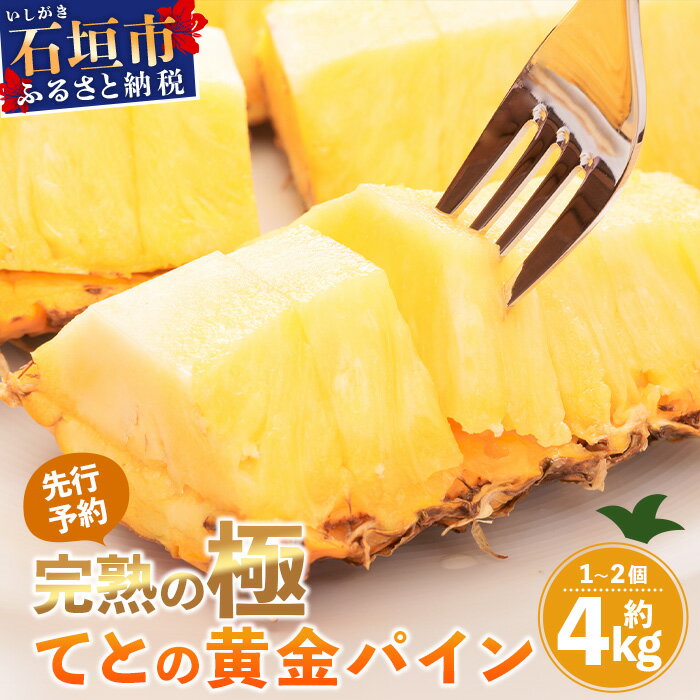 【ふるさと納税】《2025年5月中旬以降順次発送》香りに溺れる！？ 完熟の極 てとの黄金パイン大玉約4kg | 沖縄 石垣 ゴールデン 黄金 パイン パイナップル 完熟 大玉 セット フルーツ デザート TF-25