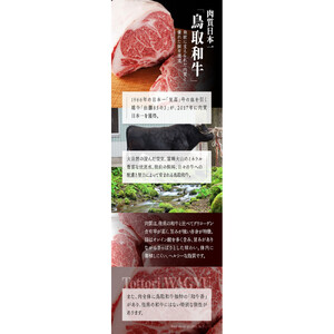 鳥取和牛オレイン55　サーロインステーキ　2枚（500g）1288