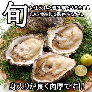 XXLサイズ!天然岩牡蠣/特上1.5kg(2～3コ/殻付き生食用)CAS冷凍カキ 海鮮バーベキューに