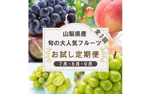 ＜発送月固定定期便＞山梨県産旬の大人気フルーツ＜桃・巨峰・シャインマスカット＞お試し定期便 全3回【4013021】