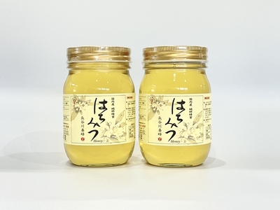 はちみつ アカシア 500g 2本  長谷川養蜂 / はちみつはちみつはちみつはちみつ
