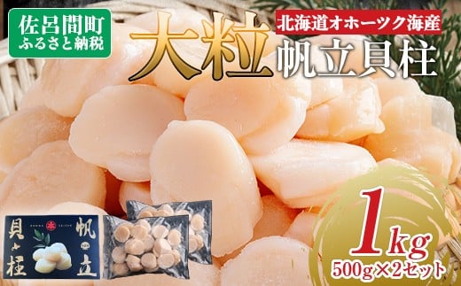 北海道オホーツク海産 大玉帆立貝柱 500g×2セット 【 ふるさと納税 人気 おすすめ ランキング ホタテ ほたて 帆立 ホタテ貝柱 ほたて貝柱 貝柱 刺身 帆立刺身 刺身ホタテ 魚介 新鮮 オホーツク海産 北海道 佐呂間町 送料無料 】 SRMR002