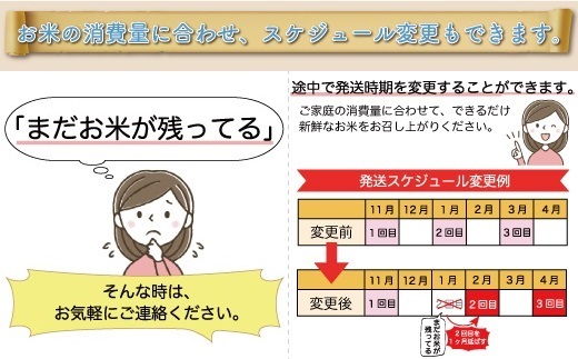 ＜令和6年産米＞ 令和7年5月中旬より配送開始 はえぬき【白米】60kg定期便(20kg×3回)　鮭川村