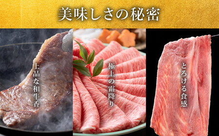松阪牛100％ハンバーグ（150g×3個入り）【1-387】