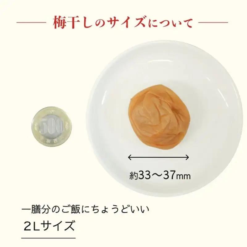 梅干し 1kg 塩分18％ミネラル豊かな天日塩だけで漬けた梅干し【umehkr005A】