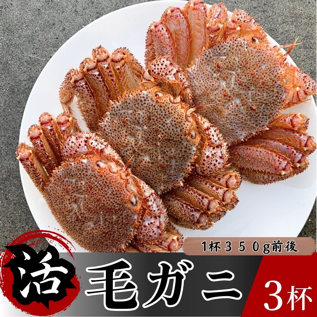 【ふるさと納税】【3/31まで】北三陸洋野町産活毛ガニ 350g前後×3杯