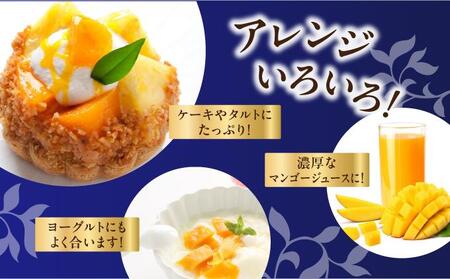 【2025年発送】＜優品＞幻のキーツマンゴー約2kg（化粧箱）2玉～3玉