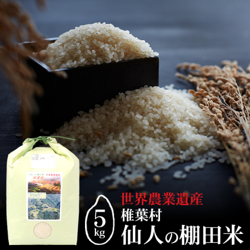 【世界農業遺産】 仙人の棚田米 5kg 椎葉産 米 産地直送