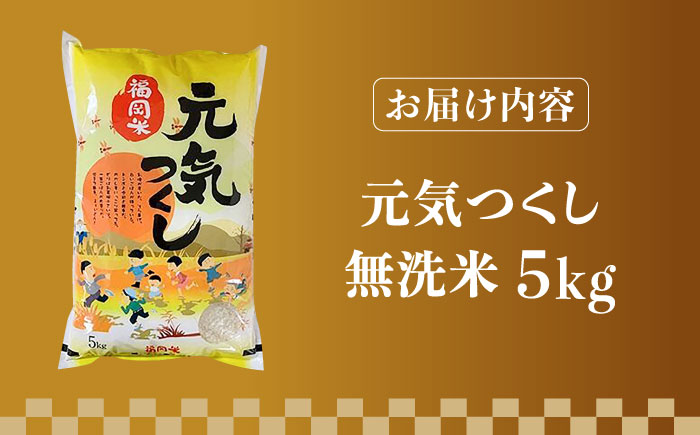 【令和5年産】福岡県産ブランド米「元気つくし」無洗米 5kg《築上町》【株式会社ゼロプラス】 [ABDD002] お米 白ご飯 夢つくし ブランド米 おにぎり
