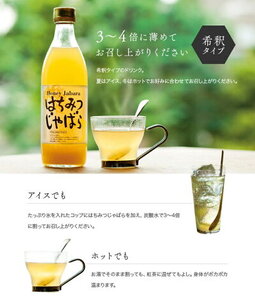 はちみつじゃばら 500ml×2本  邪払 ジャバラ じゃばら じゃばらジュース 北山村／紀伊国屋文左衛門本舗_V7157