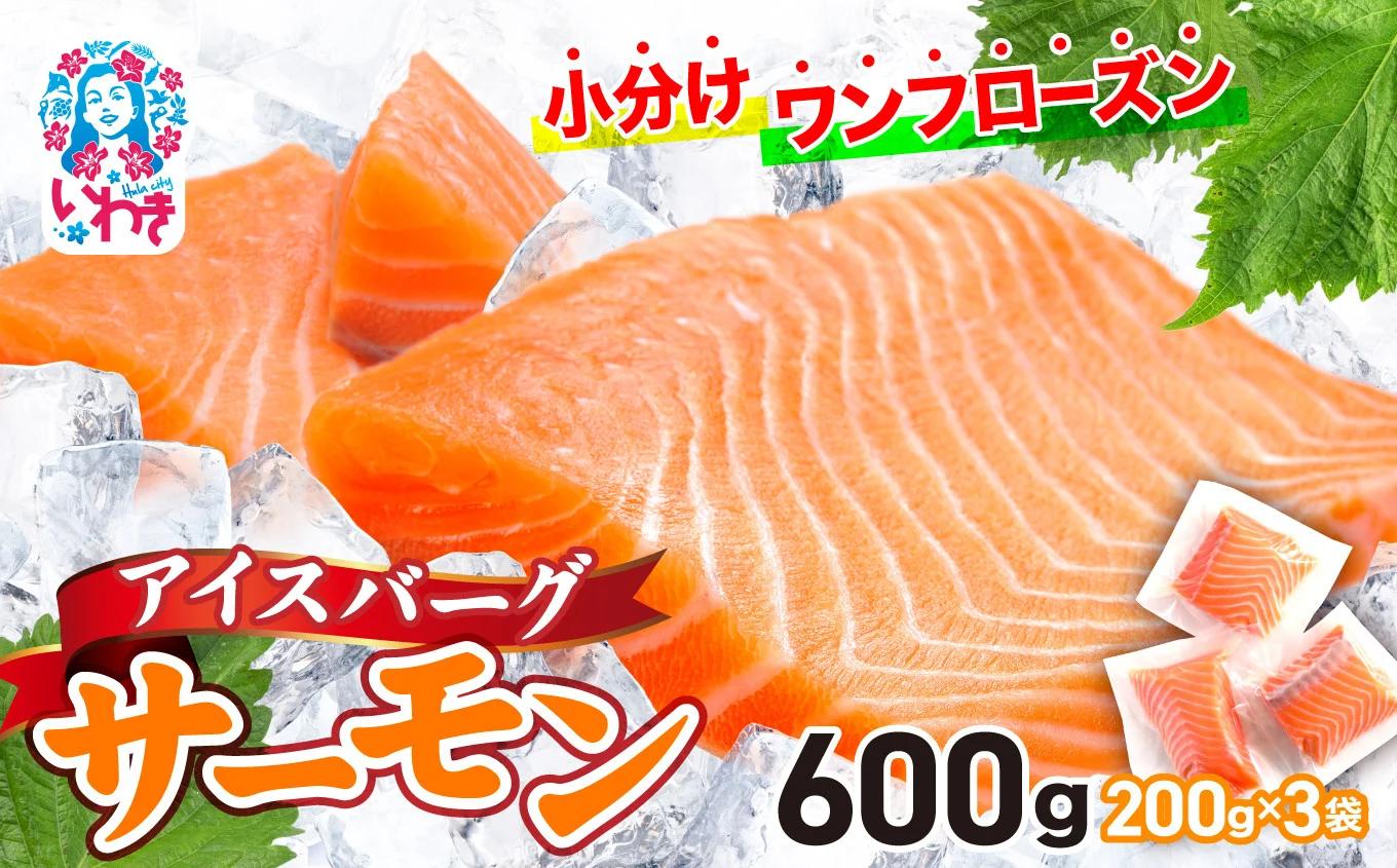 アイスバーグサーモン（アトランティックサーモン）600g |サーモン ふるさと納税 サケ さけ しゃけ 刺し身 お刺身 個包装 魚介類 寿司 (DK006-600g)【DK006-600g】