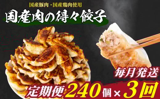 訳あり 国産肉の得々餃子 3回 毎月 定期便 240個 20個×12パック 冷凍 小分け たれ付き 大容量 ぎょうざ ギョウザ ギョーザ