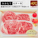 【ふるさと納税】「みかも牛」ステーキ400g(200gx2枚)【配送不可地域：離島】【1257323】